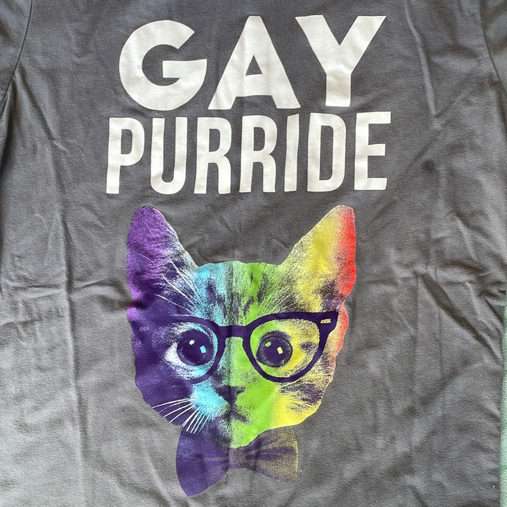 🌈 🐱 Gay purrride tee! XS